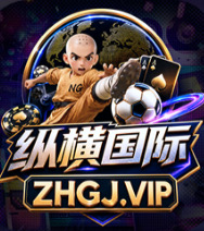 纵横国际